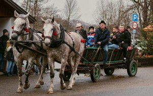 Zwiernik, Święto Trzech Króli 2022-63.jpg